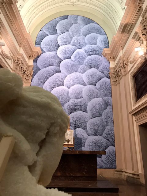 Museo de Pasiones, 2020: fotografía 1 de 30 de la exposición.