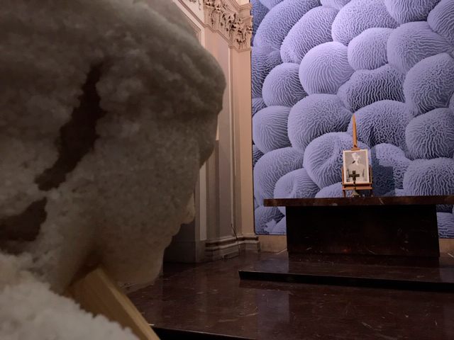 Museo de Pasiones, 2020: fotografía 26 de 30 de la exposición.